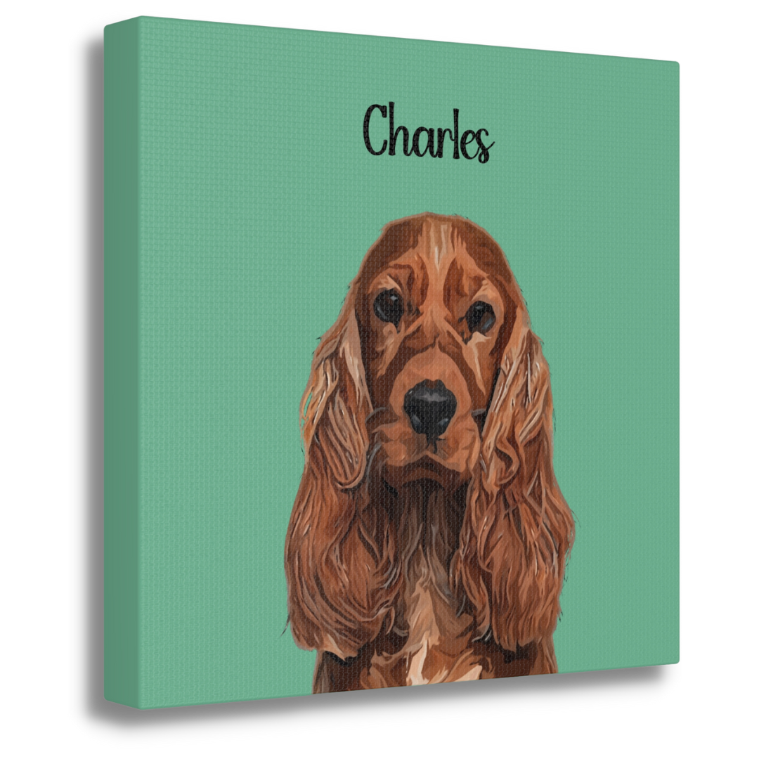 Square Pet Portrait