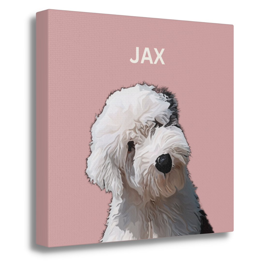 Square Pet Portrait
